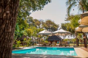 a swimming pool with umbrellas and tables and chairs at Gondwana Hakusembe River Lodge in Rundu