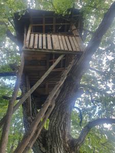 a tree house in the middle of a tree at Hidden Garden Kide (Chidea) in Cluj-Napoca