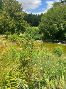 a field of flowers with a pond in the background at La yourte des Merveillaux in Riocaud
