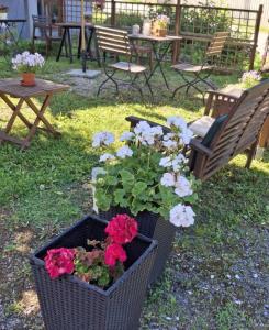 a basket of flowers in a yard with benches and tables at Lossiranta Tavis in Savonlinna