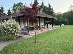 a small tree in the grass in front of a house at Zov Dičine in Savinac