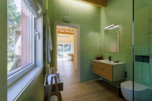 a green bathroom with a toilet and a sink at Quinta da Janeca in Vila Pouca de Aguiar +92 photos
