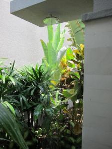 a bunch of plants in a garden with a light at Villa Kejora 10 in Sanur