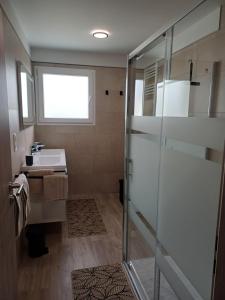 a bathroom with a shower and a sink at VILLE au VERT in Verdun-sur-Meuse