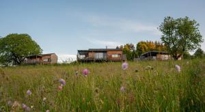 a field of flowers in front of houses at Rosenholz Ferienhäuser in Köttmannsdorf