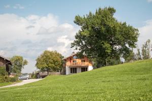 ein Haus auf einem grasbewachsenen Hügel in der Unterkunft Biohof Beim Danner in Riedering