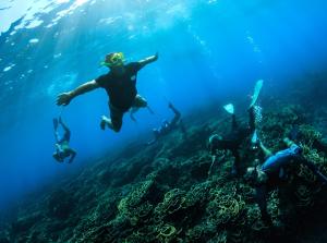 a group of people swimming in the ocean at Mentawai Tribe Experience & Private Beach Camp in Pulau Masilo