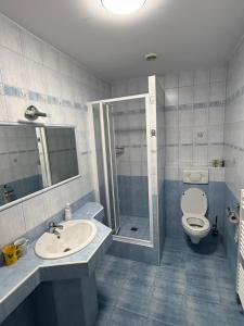 a bathroom with a toilet and a sink and a shower at Penzión Sunflower in Piešťany