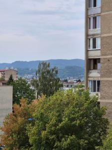 a view of a building and trees in a city at ZARA STUDIO BRASOV in Braşov