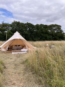 a tent in the middle of a field at Gresham Hall Glamping in Aylmerton