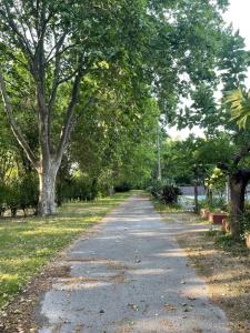 a tree lined road with trees in a park at Camping 2 étoiles - Piscine - ccbfiif in Avignon