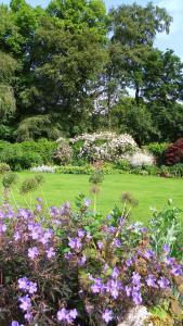 a garden with purple flowers and trees in the background at challan hall in Silverdale