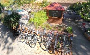 a row of bikes parked in front of a restaurant at Camping 2 étoiles - Piscine - ccbfiif in Avignon