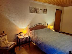 a bedroom with a bed and a chair and two lamps at Appartement proche stations de ski in Abondance
