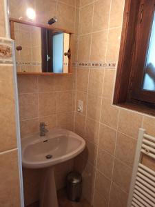 a bathroom with a sink and a mirror at Appartement proche stations de ski in Abondance +5 photos