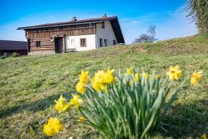 a house on top of a hill with yellow flowers at Home in Heaven I Historical Log House in Šentrupert +30 photos