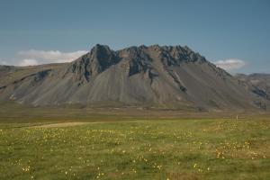a mountain in the middle of a field with flowers at Hotel Langaholt in Langaholt +62 photos