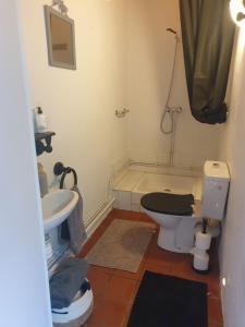 a bathroom with a toilet and a sink at Domaine du Fourtet in Arfons