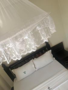 a bed with a white canopy and white pillows at Acactus in Kampala +1 photo