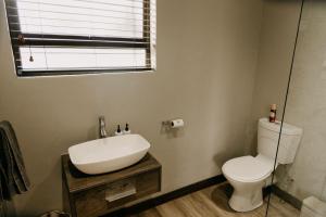 a bathroom with a sink and a toilet and a window at Benedicto Farm in Welkom