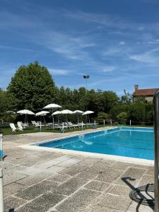 a swimming pool with chairs and umbrellas at Relais Leon d'Oro in Mirano
