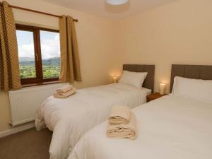 two twin beds in a room with a window at Yr Onnen in Rhayader
