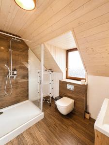 a bathroom with a shower and a toilet and a sink at Vila Svistovka in Stará Lesná +66 photos