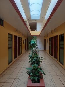 an empty hallway with plants in a building at Hotel del angelinn in Martínez de La Torre +2 photos