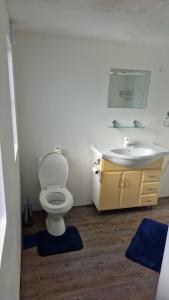 a bathroom with a toilet and a sink at Old Willow Houseboats in Sasolburg
