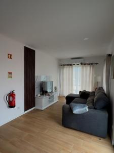 a living room with a couch and a tv at Francisca Apartment in Lajes