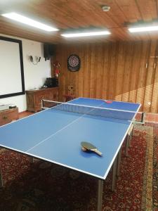 a blue ping pong table in a room with at Alb-Refugium - beautiful, quiet in Schopfloch