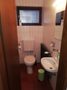 a small bathroom with a toilet and a sink at Alb-Refugium - beautiful, quiet in Schopfloch +8 photos