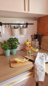 a kitchen counter with a cutting board and fruits and vegetables at Nad Andruszkowianką in Andruszkowice