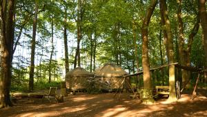 a group of tents in the middle of a forest at Adhurst Yurts in Sheet