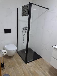 a glass shower in a bathroom with a toilet at A Casinha - By Marketignite in Barreira