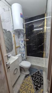 a bathroom with a toilet and a shower at Ethno Naryn Guest House in Naryn