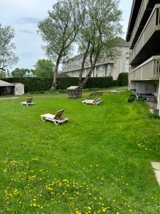 a lawn with lounge chairs in the grass next to a building at Au p'tit cocon sur le lac in Magog-Orford +82 photos