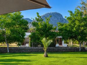 a palm tree in the grass in front of a building at Finca Tramuntana in Palma de Mallorca