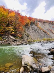 a river with fall foliage on a rocky hillside at Котедж Гірський in Yaremche