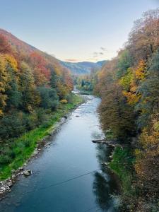 a view of a river in the middle of a forest at Котедж Гірський in Yaremche