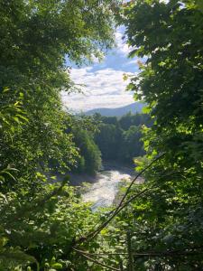 a view of a river through the trees at Котедж Гірський in Yaremche