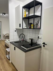 a kitchen with a sink and a counter top at Gemütliche Wohnung in Passau in Passau +6 photos