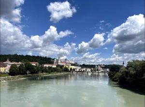 a view of a river with buildings in the background at Gemütliche Wohnung in Passau in Passau