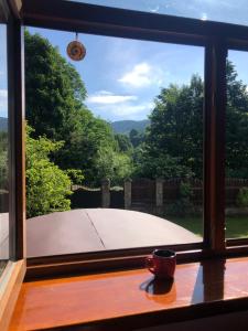 a window with a coffee cup on a wooden table at Котедж Гірський in Yaremche