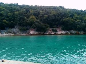 a view of the water from the shore at Oaza Puljar-Matić in Banjol