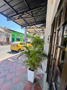 a plant in a pot sitting outside of a building at NaPoles valledupar Hotel in Valledupar