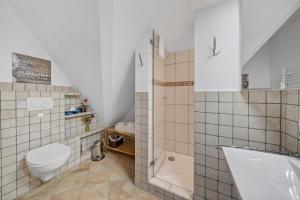 a bathroom with a toilet and a shower and a sink at Wattkieker-Stedum in Rantum +13 photos