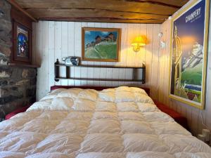 a large bed in a room with a picture on the wall at Le Mazot des Révines - 2 pers in Champéry