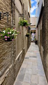 an alley with flowerpots on the side of a building at Maison Bo Luxury Stay in Historic Lemmer in Lemmer