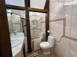 a bathroom with a toilet and a sink at Casa Cojo in Sighişoara +51 photos